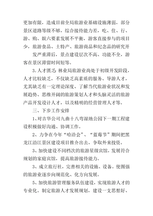 上半年旅游安全工作总结范文