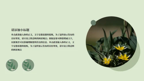 绿色小花工作计划通用PPT模板