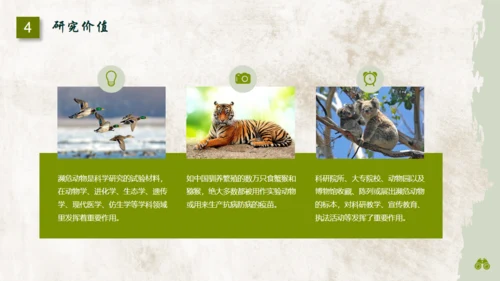 保护濒危野生动物通用PPT模板