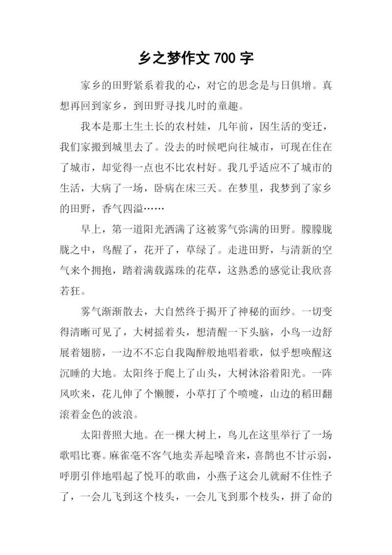 乡之梦作文700字.docx