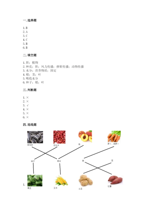 教科版四年级下册科学第一单元《植物的生长变化》测试卷精品（能力提升）.docx
