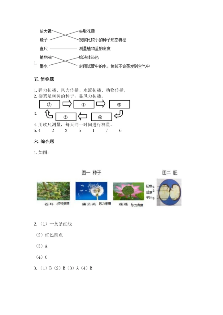 科学四年级下册第一单元《植物的生长变化》测试卷精品（能力提升）.docx
