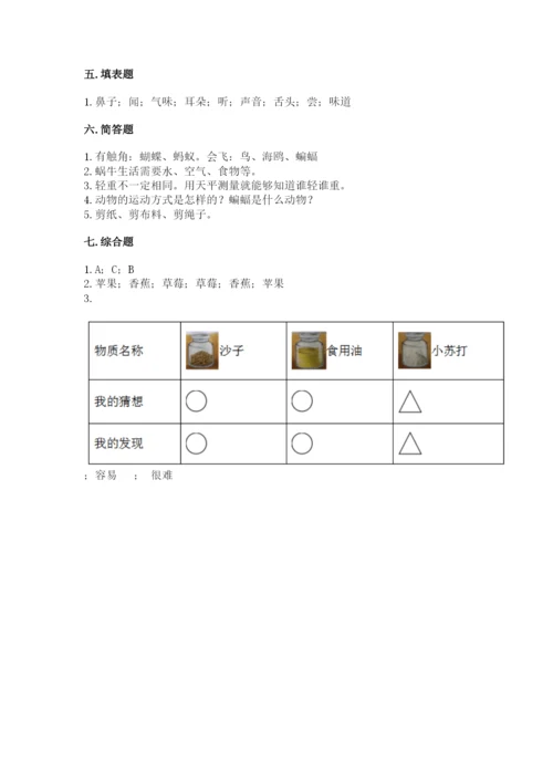 教科版小学科学一年级下册期末测试卷附参考答案（综合卷）.docx