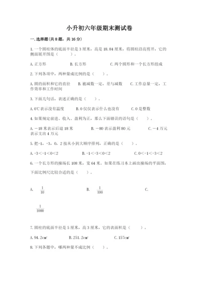 小升初六年级期末测试卷（典优）.docx