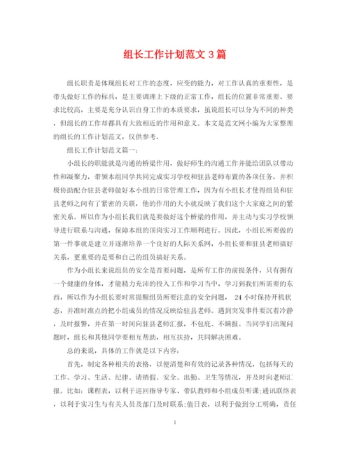精编之组长工作计划范文3篇.docx
