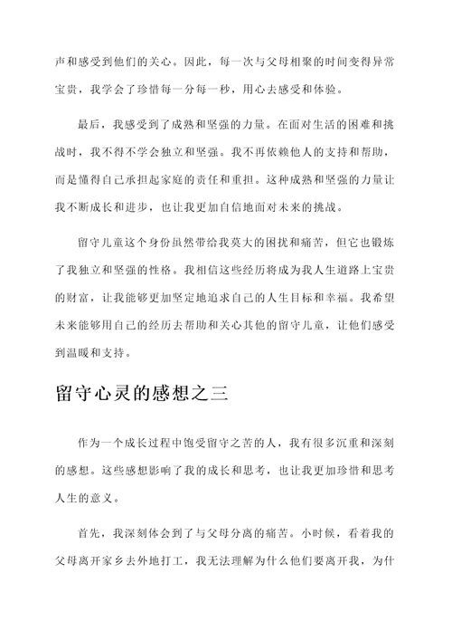 留守心灵的感想