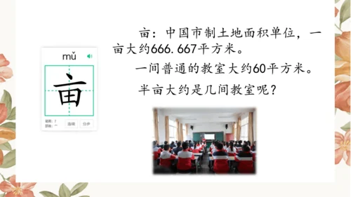 2 落花生 课件