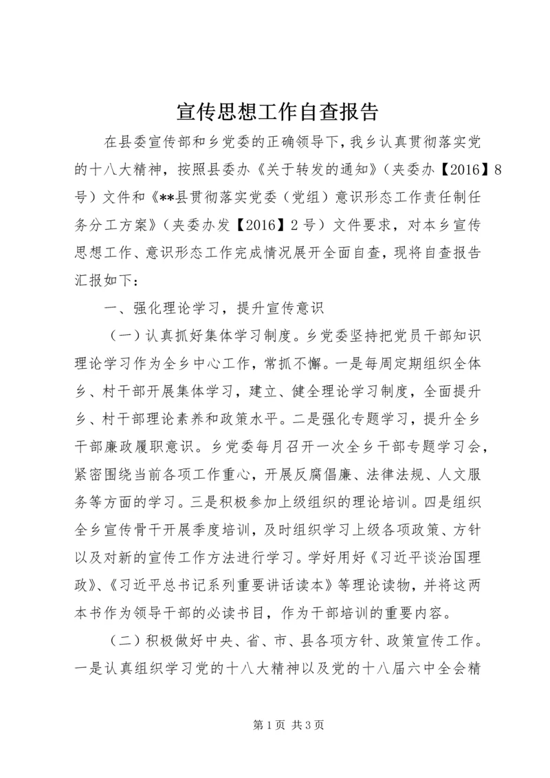 宣传思想工作自查报告 (3).docx