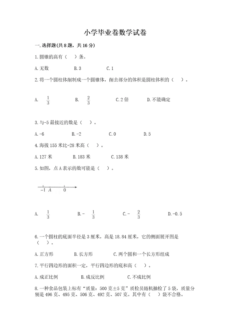 小学毕业卷数学试卷（巩固）