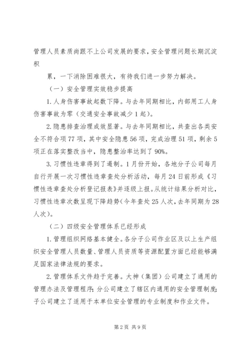 大神(集团)公司安委会会议汇报材料.docx