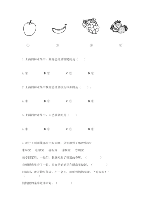 教科版二年级下册科学知识点期末测试卷附答案【考试直接用】.docx