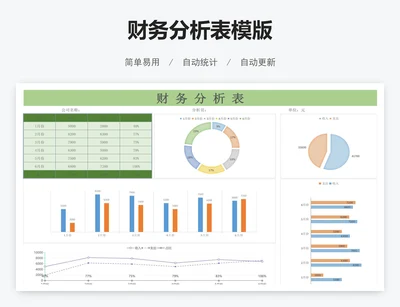 财务分析表模版