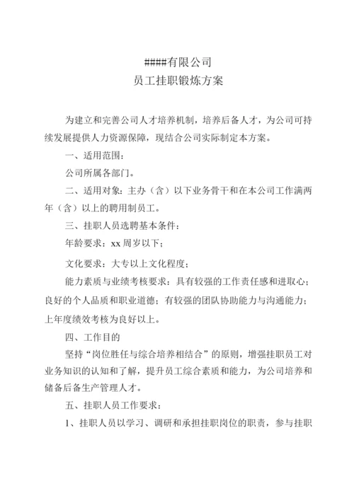 事业单位人员挂帅集体经济公司方案.docx
