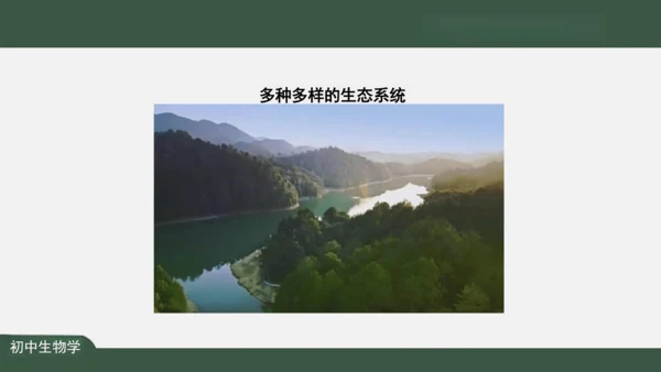 1.2.2 生物与环境组成生态系统 课件（共30张PPT）