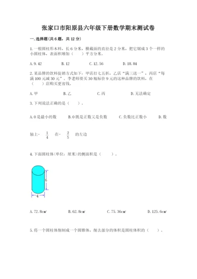 张家口市阳原县六年级下册数学期末测试卷精品.docx
