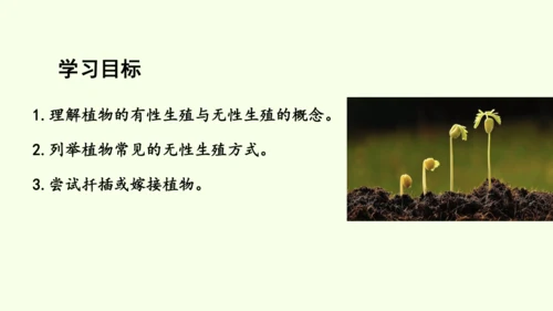 7.1.1植物的生殖-八年级生物人教版下学期同步精品课件(共33张PPT)