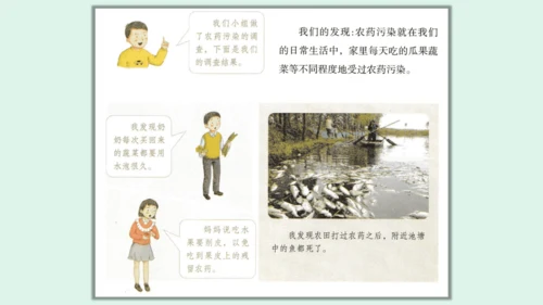 10.《我们所了解的环境污染》（第二课时）  课件