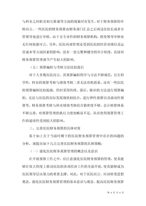 医院财务预算管理要点.docx
