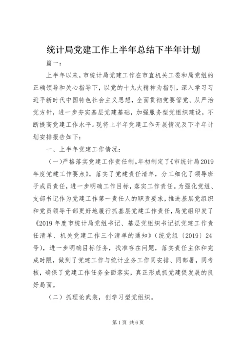 统计局党建工作上半年总结下半年计划.docx
