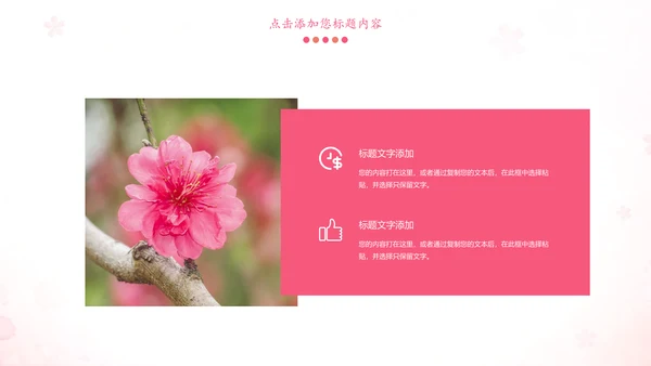 粉红唯美关爱女性健康妇联工作汇报PPT模板