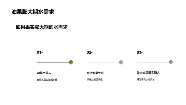 科技助力油果增产