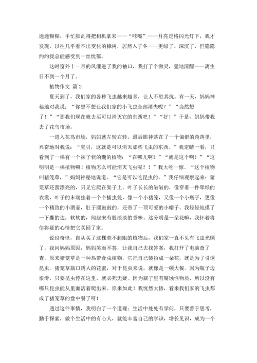 植物作文锦集五篇.docx