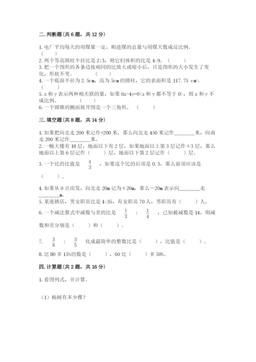 嵊州市六年级下册数学期末测试卷（培优）.docx