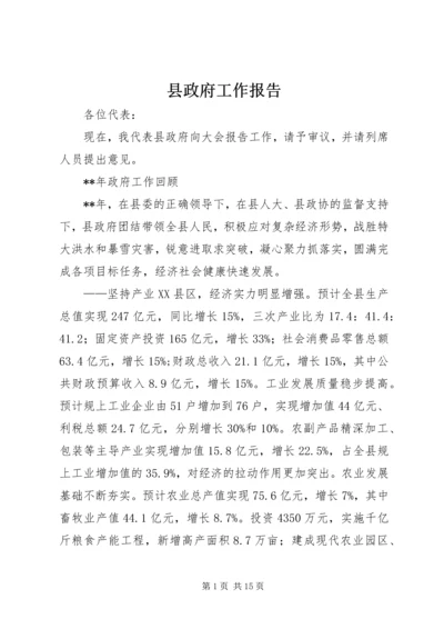 县政府工作报告 (24).docx