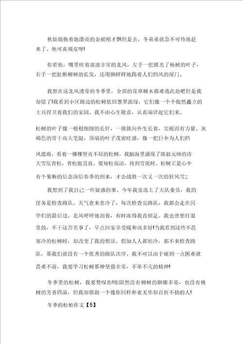 以松柏树为话题作文600字五篇精选