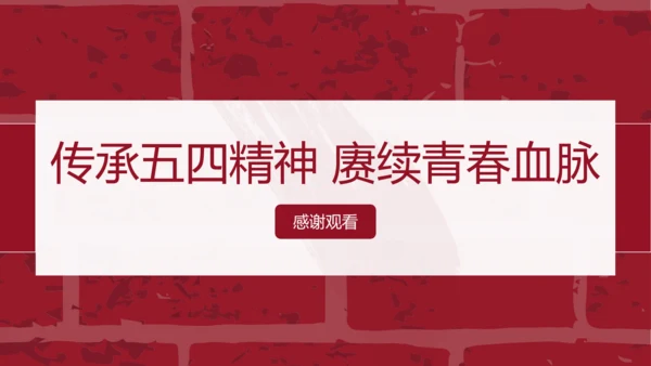党政风五四青年节教育PPT