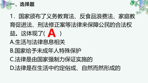 第四单元 走进法治天地 复习课件(共42张PPT)