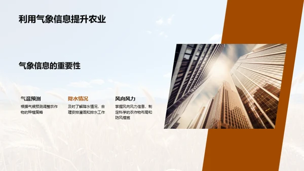 大暑农业应对策略