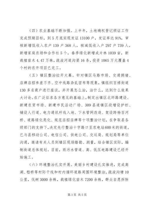 乡镇政府某年上半年工作总结和下半年工作计划.docx