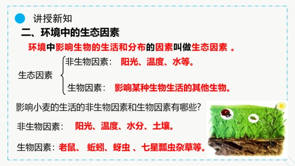 1.2.1生物与环境的关系课件2023--2024学年人教版生物七年级上册(共30张PPT)