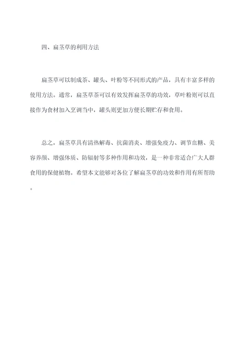 扁劲草功效与作用