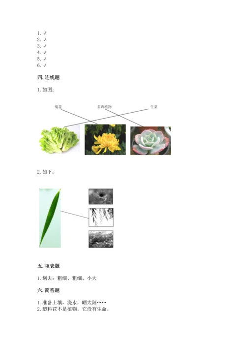 教科版科学一年级上册第一单元《植物》测试卷及参考答案【b卷】.docx