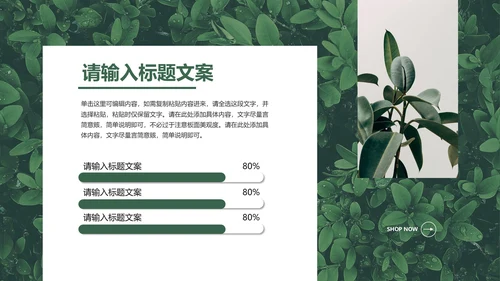 绿色清新简约风月度总结PPT模板