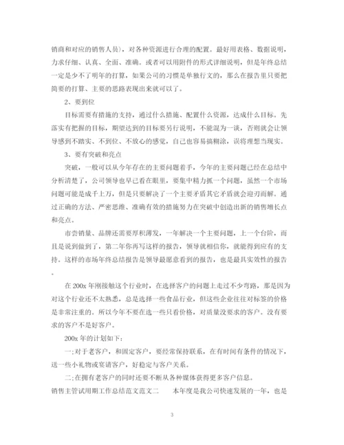 精编之销售主管试用期工作总结范文.docx