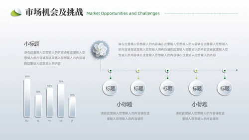 小清新创业项目计划书PPT模板商业计划书