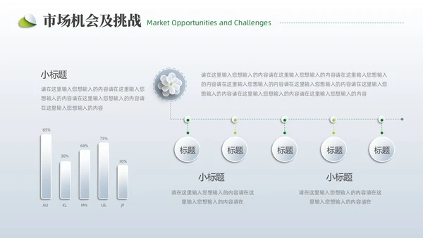 小清新创业项目计划书PPT模板商业计划书