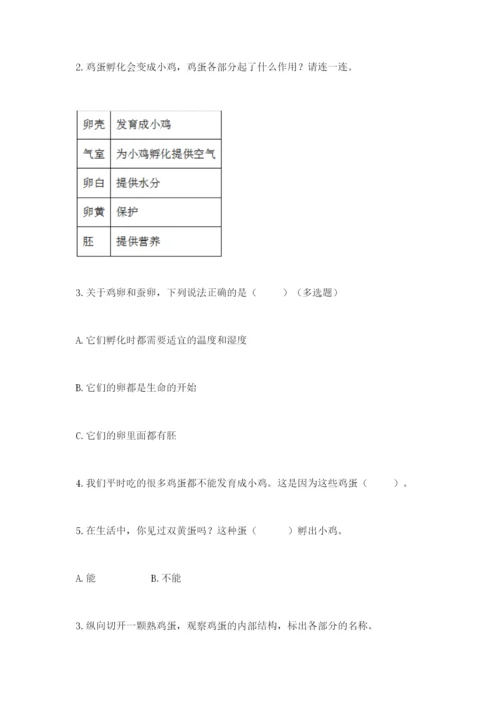 教科版三年级下册科学期末测试卷【典优】.docx