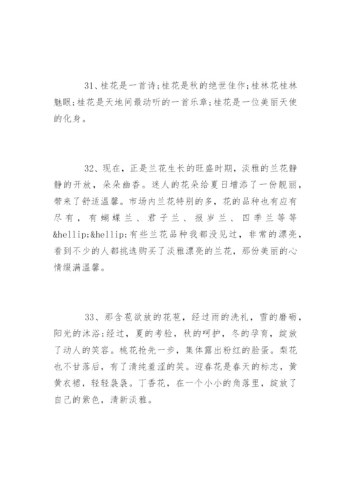 描写鲜花优美的句子.docx
