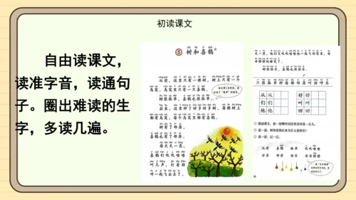 5 树和喜鹊（课件）