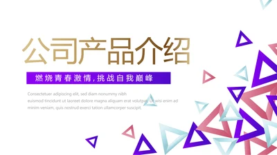 创意几何三角形大气公司产品介绍宣传通用PPT
