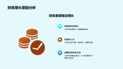 财务分析与发展策略