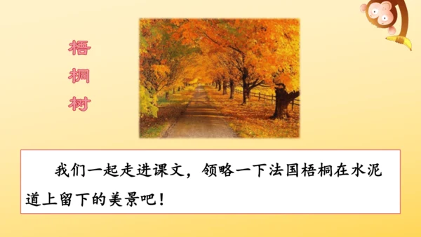 5《铺满金色巴掌的水泥道》   课件