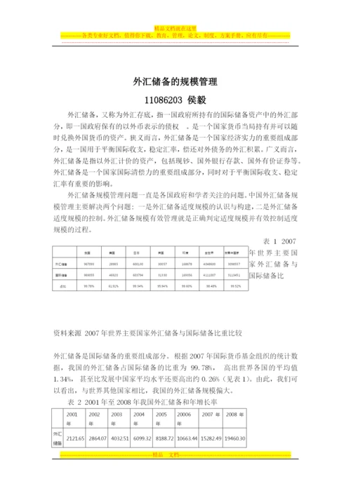 外汇储备的规模管理.docx