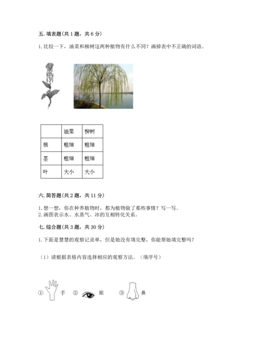 教科版科学一年级上册第一单元《植物》测试卷【易错题】.docx