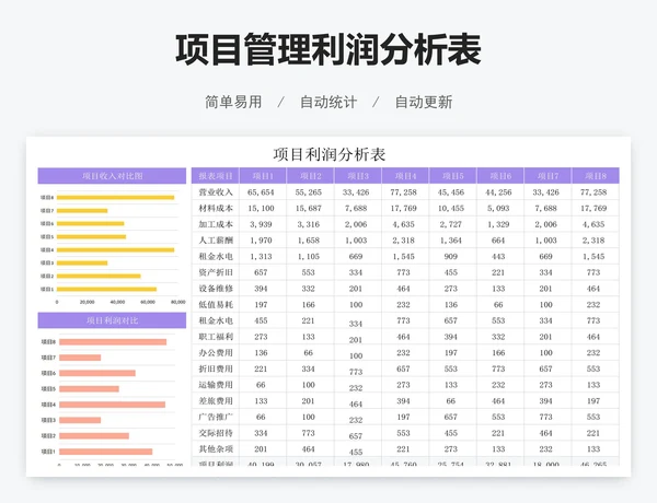 项目管理利润分析表