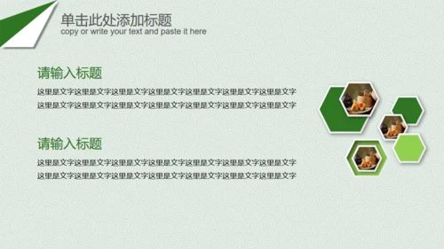 粽子端午节晚会庆典策划案通用PPT模板
